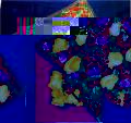 R3-22.jpg