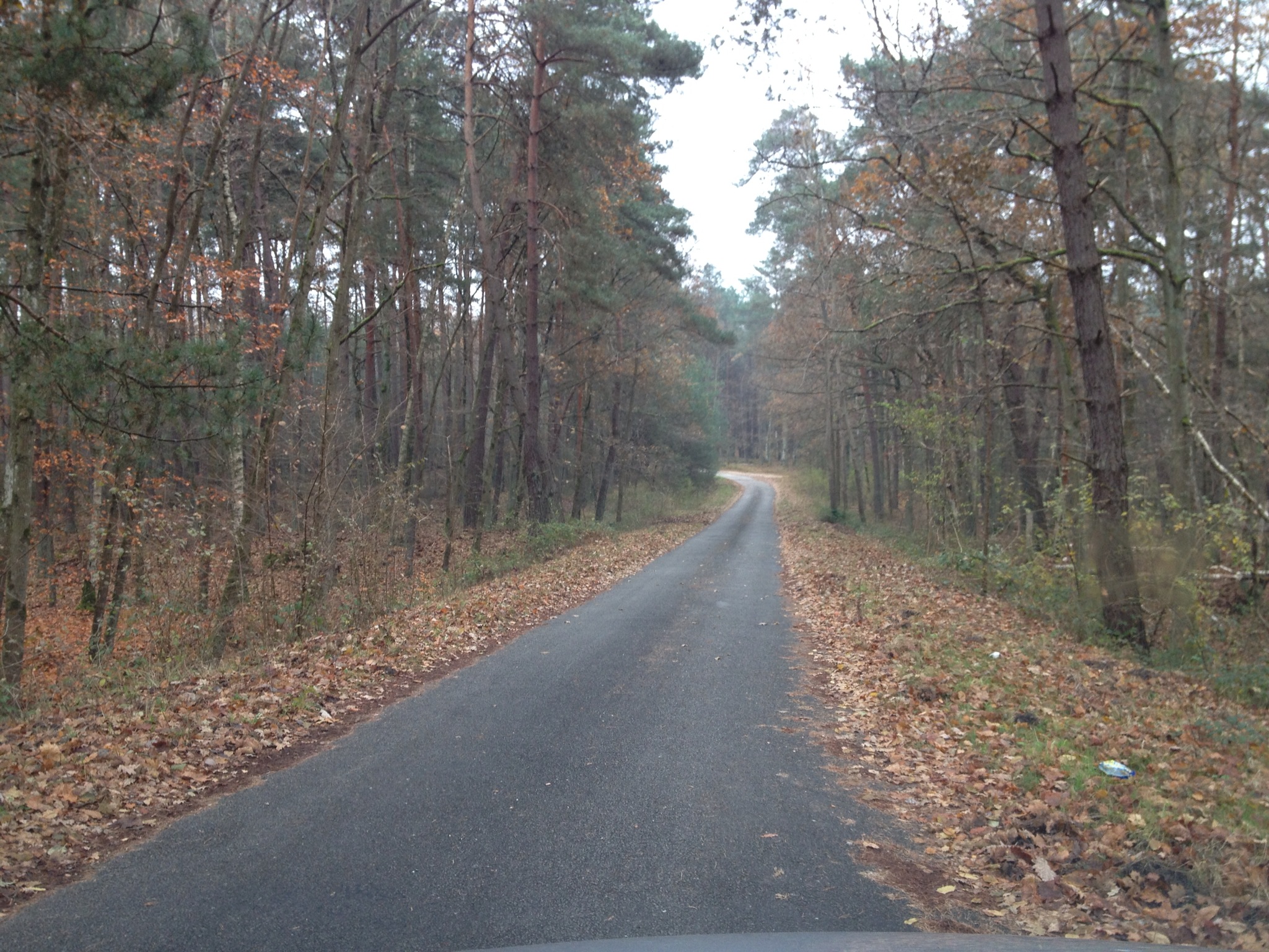 image002.jpg