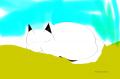 Cats are your friends, never your slaves.JPG