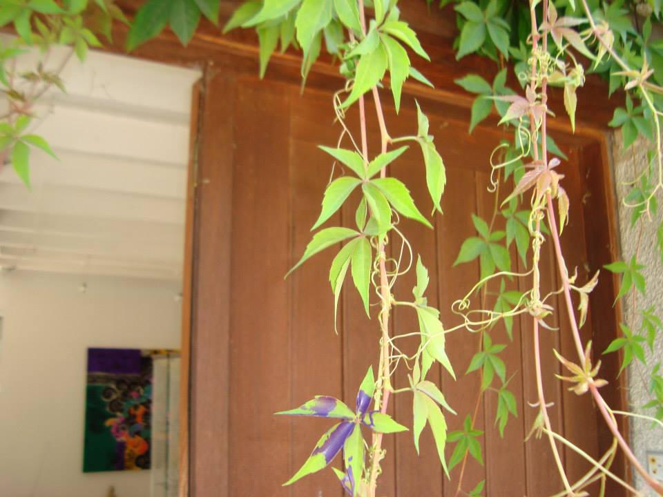 photo 1.JPG